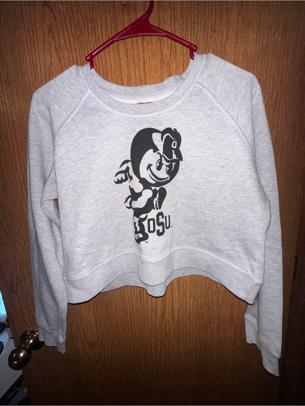 Gray OSU Brutus Buckeye Cropped Sweatshirt